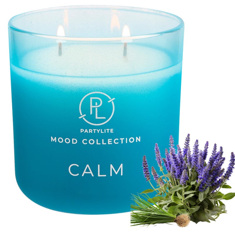 PartyLite Calm Scented, with Notes of Tranquil Star Anise, Nutmeg, Blue Sage, 14.1oz 2-Wick Ombre Jar Candle, 24-48 Hour Burn Time, Part of The Mood Collection, Warm & Spicy, Perfect for Gifting